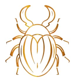 Moritz Götz Ventures